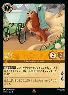 レディ(ホイル) 【ROJ/011/204RH】