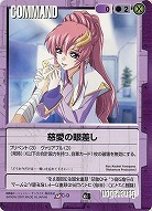 慈愛の眼差し 【C-9/DB8】