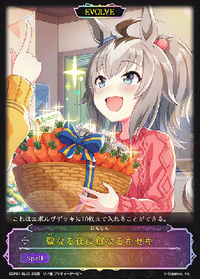 聖なる夜に重なるキセキ 【ECP01-SL28SL】