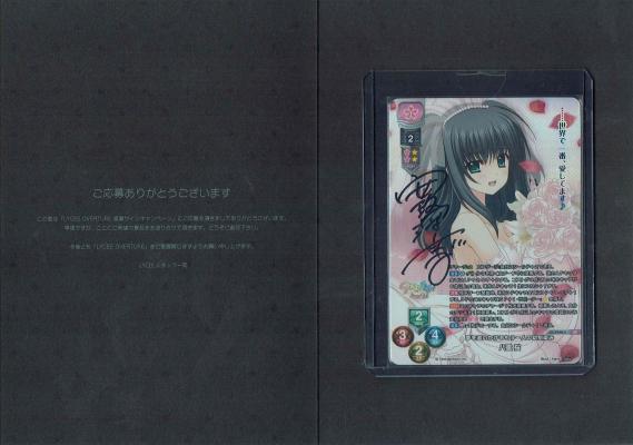 夢を追いかけるもう一人の幼馴染み 八重 桜 (直筆サイン)#1118367 【LO-5942SP】