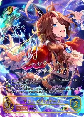 【キズ有り特価A】サウンズオブアース(SSP) 【ECP01-SSP04SSP】