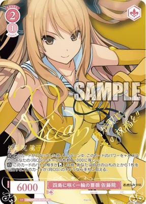 四島に咲く一輪の薔薇 佐藤院(SP)【OS05/R05/057SPSP】