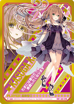 ※秋葉原店併用商品 【キズ有り特価A】　黒崎春日 【B35-098IGR】