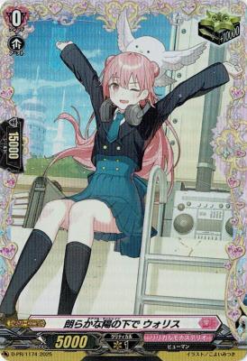 朗らかな陽の下で ウォリス(PR) 【D-PR/1174】