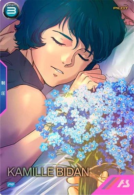 カミーユ・ビダン【PR-431PR】