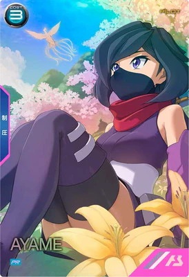 アヤメ【PR-435PR】