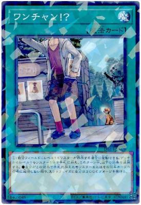 ワンチャン!?(PA)【DBJH-JP028PA】