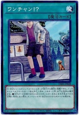 ワンチャン!?【DBJH-JP028】