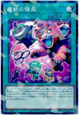 魔獣の懐柔(PA)【DBJH-JP029PA】
