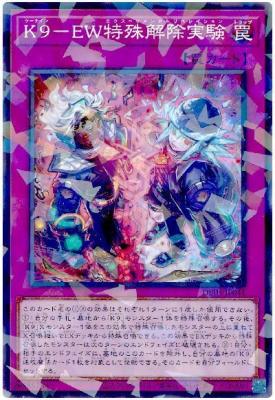 K9-EW特殊解除実験(PA)【DBJH-JP041PA】