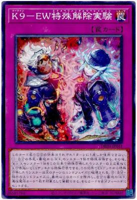 K9-EW特殊解除実験【DBJH-JP041】