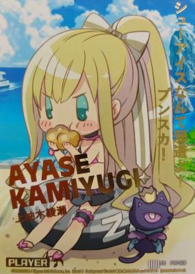 ※秋葉原店併用商品 上柚木綾瀬 【P10-028PR】