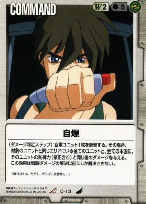 自爆 【白C-13】4弾