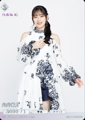 向井葉月(PR) 【BB/N46/008PR】