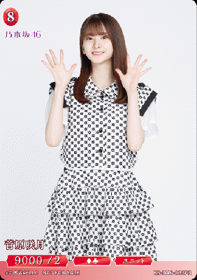 菅原咲月(PR) 【BB/N46/033PR】