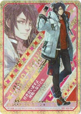 ※秋葉原店併用商品　都城出雲 【B35-096IGR】