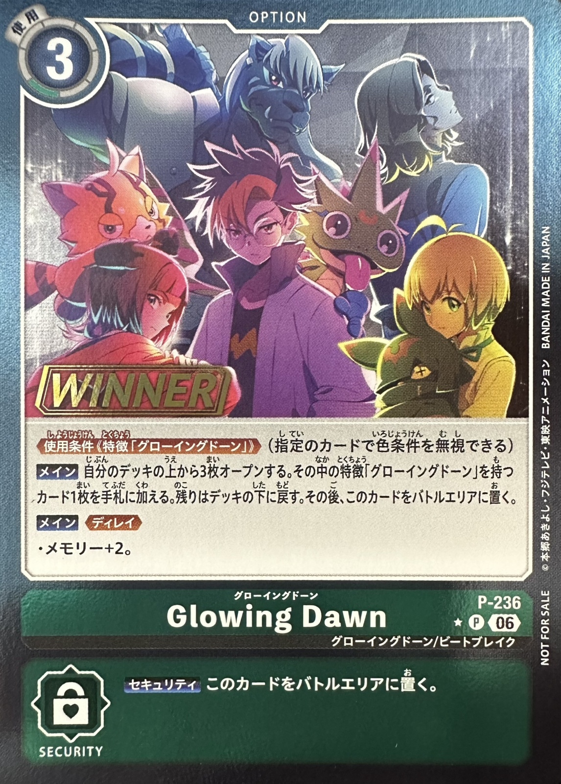 Glowing Dawn(WINNER) 【P/236P2】