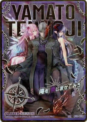 ※秋葉原店併用商品　天王寺大和 【B23-121IGR】