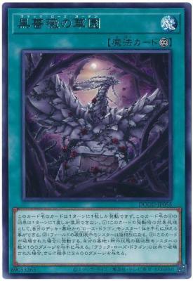 黒薔薇の華園【DOOD-JP055R】