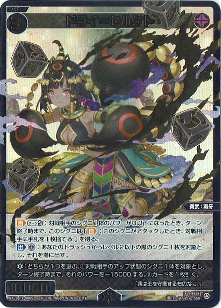 【キズ有り特価A】ドライ＝セルケト(SSR)【WX26-P1-066SSR】