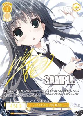 ※秋葉原店併用商品 小さくて可愛い姉 夏目藍(PR+)【OS06/R06/P02EXPR+】