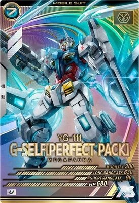 G-セルフ(パーフェクトパック) 【FQ04-015U】