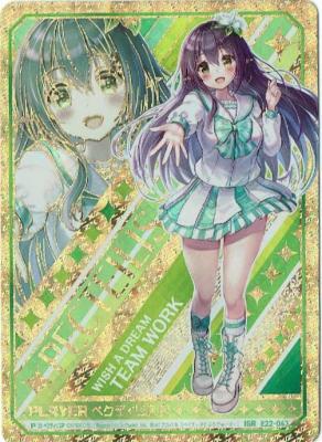 ※秋葉原店併用商品 【キズ有り特価A】 ペクティリスP(IGR) 【E22-063IGR】