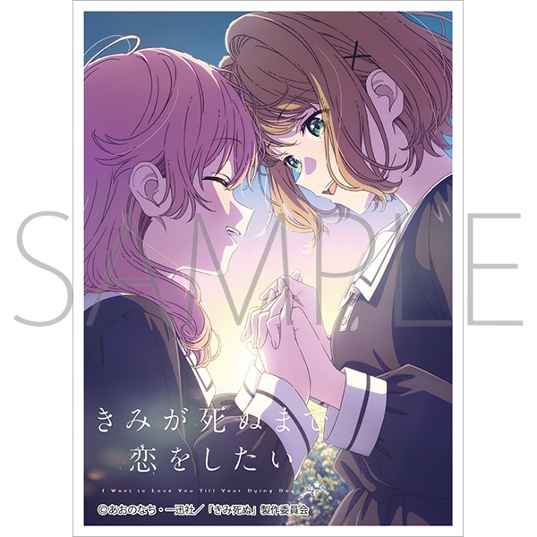 9/27締切【スリーブ予約】 きゃらスリーブコレクション　マットシリーズ　 「きみが死ぬまで恋をしたい」 ミミ＆シーナＡ(No.MT2494)(65枚入り) 【26年11月27日発売】