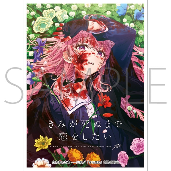 9/27締切【スリーブ予約】 きゃらスリーブコレクション　マットシリーズ　 「きみが死ぬまで恋をしたい」 カガリ・ミミ(No.MT2493)(65枚入り) 【26年11月27日発売】