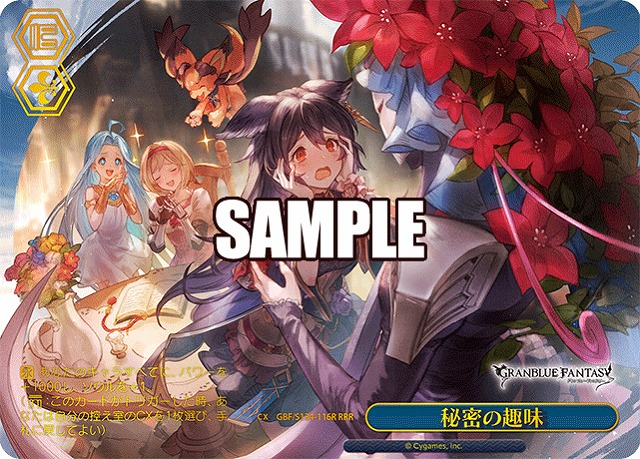 ※秋葉原店併用商品 秘密の趣味 (RRR) 【GBF/S134-116RRR】