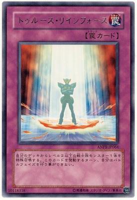 【キズ有り特価 A】トゥルース・リインフォース【ANPR-JP064R】