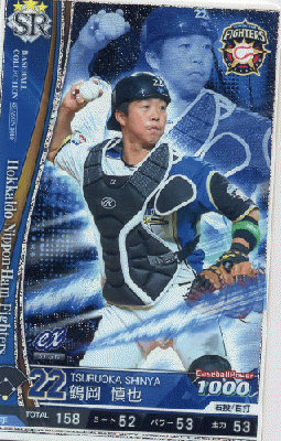 鶴岡 慎也 【201917-SR-F022】