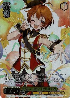 【キズ有り特価A】元気いっぱい 北沢はぐみ(SP) 【BD/WE42/003SP】