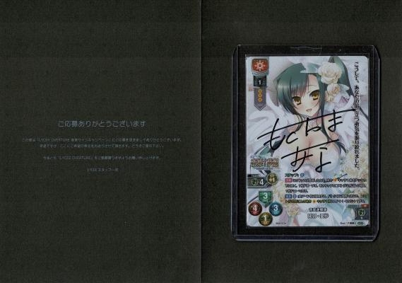 青龍逆鱗陣 関羽・愛紗 (直筆サイン) #145283【LO-2355SP】