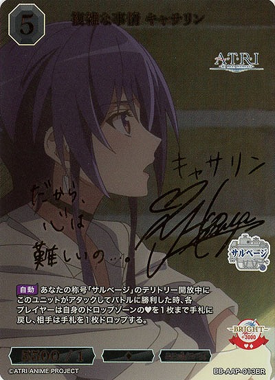 複雑な事情 キャサリン(BR) 【BB-AAP-013BR】
