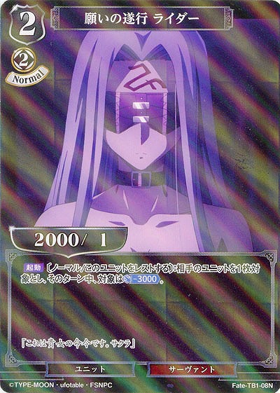 願いの遂行 ライダー(パラレル) 【Fate/TB1/08NP】