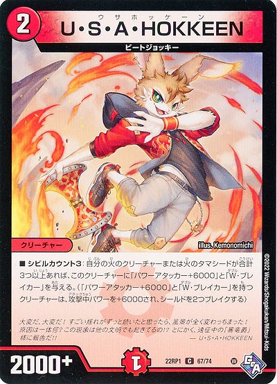 U・S・A・HOKKEEN 【22RP1/67/74C】