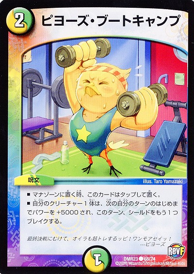 ピヨーズ・ブートキャンプ 【DMR23-65-74】