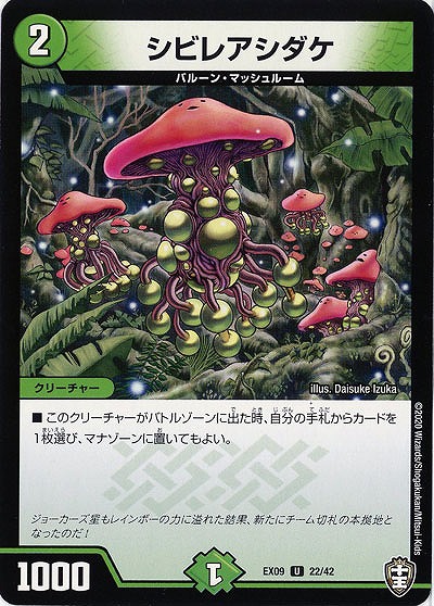 シビレアシダケ 【EX09-22-42U】