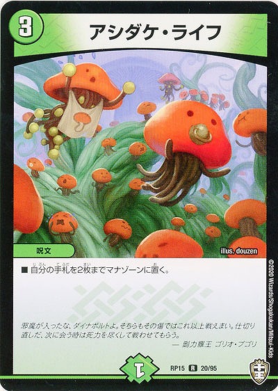 アシダケ・ライフ 【RP15-20-95R】