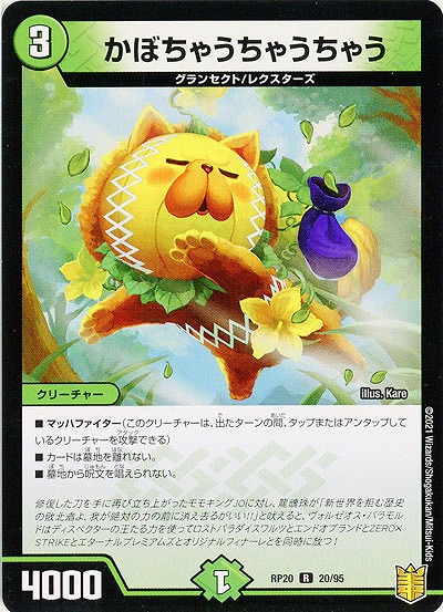 かぼちゃうちゃうちゃう 【RP20-20-95R】