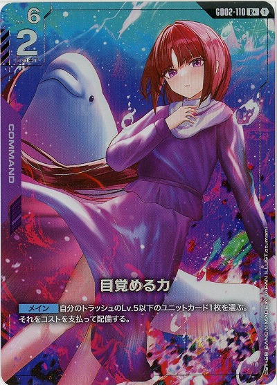 ※浜松店併用品  目覚める力(R+) 【GD02-110R+】