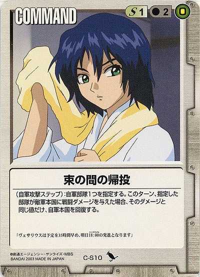 束の間の帰投【白C-S10】DS4