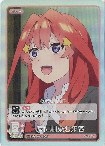 家に馴染む来客(C+) 【GYC-BP2-068C+】