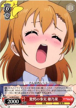 驚愕の事実穂乃果 【LL-W34-058C】