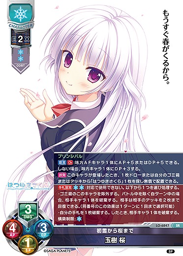 初雪から桜まで 玉樹 桜 【LO-6847SR】