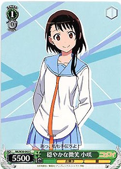 穏やかな微笑　小咲 【NK-W30-043C】