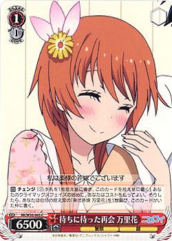 待ちに待った再会　万里花 【NK-W30-065C】