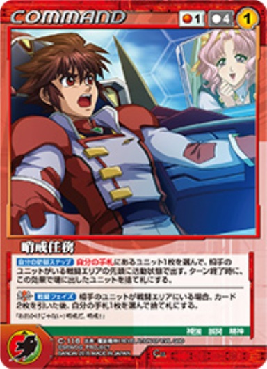 哨戒任務 【OGRD-C116C】