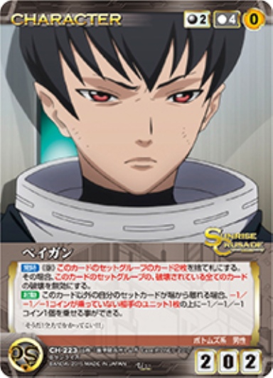 ペイガン 【SCBK-CH223U】